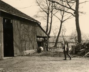 19 006