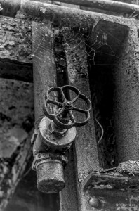 IMGP4397-2