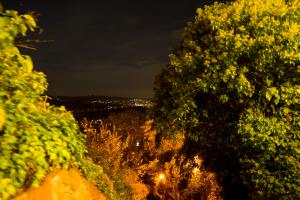 IMGP09807