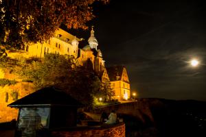 IMGP09820