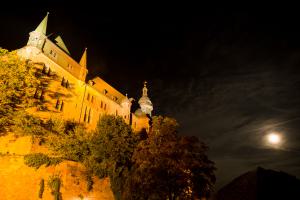 IMGP09833