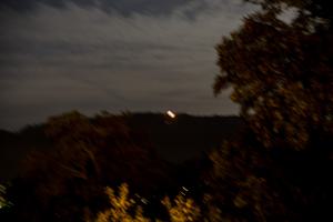 IMGP09843