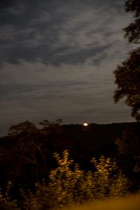 IMGP09844