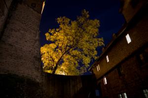 IMGP09847