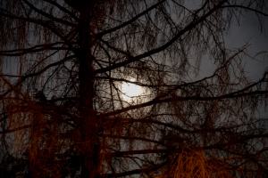 IMGP09848