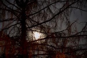 IMGP09849