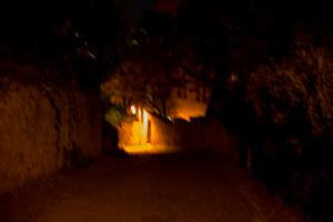 IMGP09854