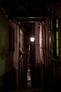 IMGP09867