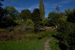 IMGP09903