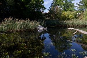 IMGP09904