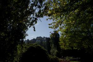 IMGP09915