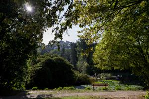 IMGP09916