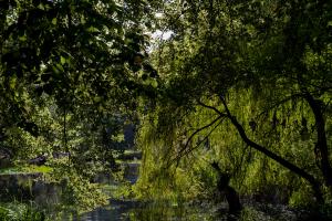 IMGP09917