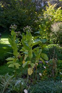 IMGP09920