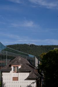 IMGP09926