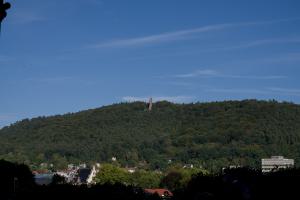 IMGP09963