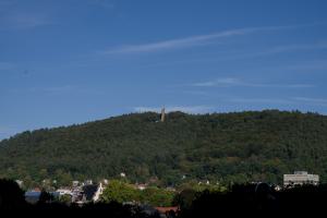 IMGP09964