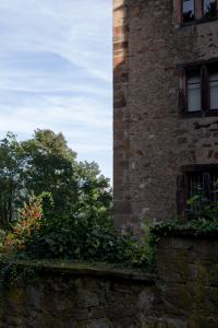 IMGP09994