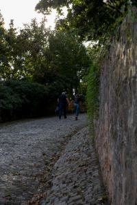 IMGP10012