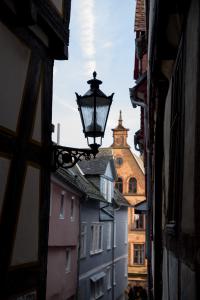 IMGP10066