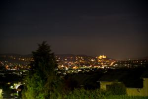 IMGP10073