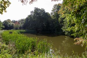 IMGP10094