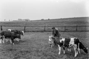 IMGP8246