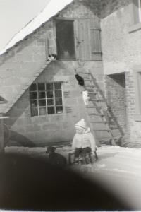 IMGP8254
