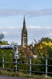 IMGP3441             