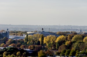 IMGP3804